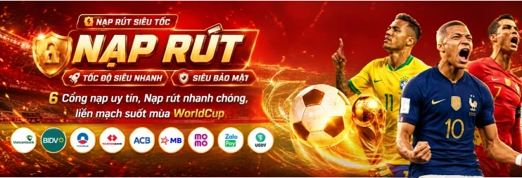 DE88 6 cổng nạp